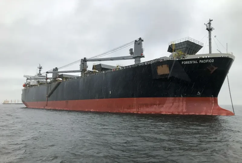 FORESTAL PACIFICO Bulk Carrier IMO 9275488 photo 10