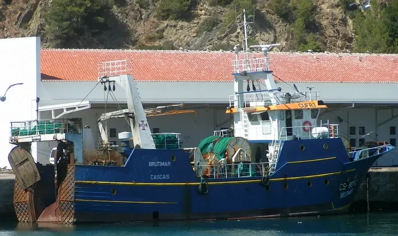 BRUTIMAR General Cargo IMO 9275610 photo 3