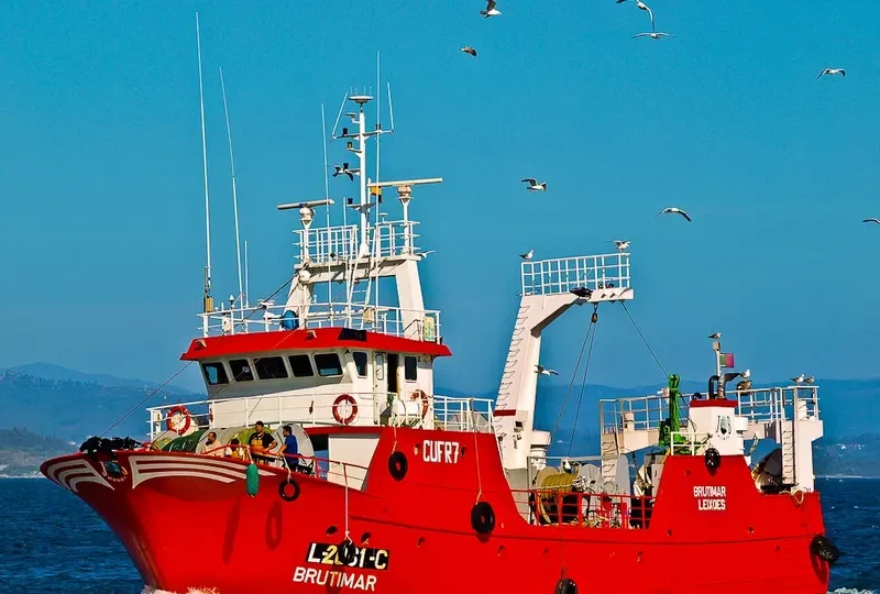 BRUTIMAR General Cargo IMO 9275610 photo 7