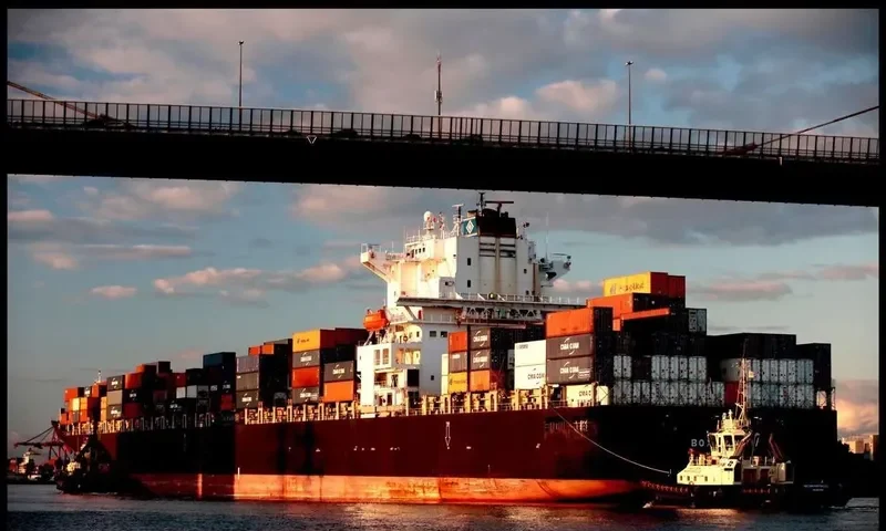 BOX EMMA Container Ship IMO 9275646 photo 10