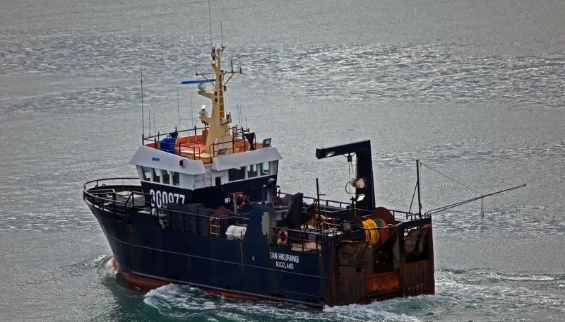 SAN HIKURANGI General Cargo IMO 9275804 photo 3