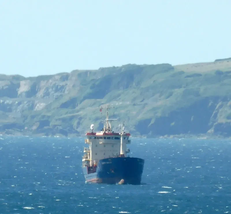 TAEKYUNG LUNA Tanker IMO 9275842 photo 9
