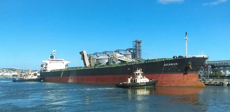 ASCANIOS Bulk Carrier IMO 9276169 photo 2