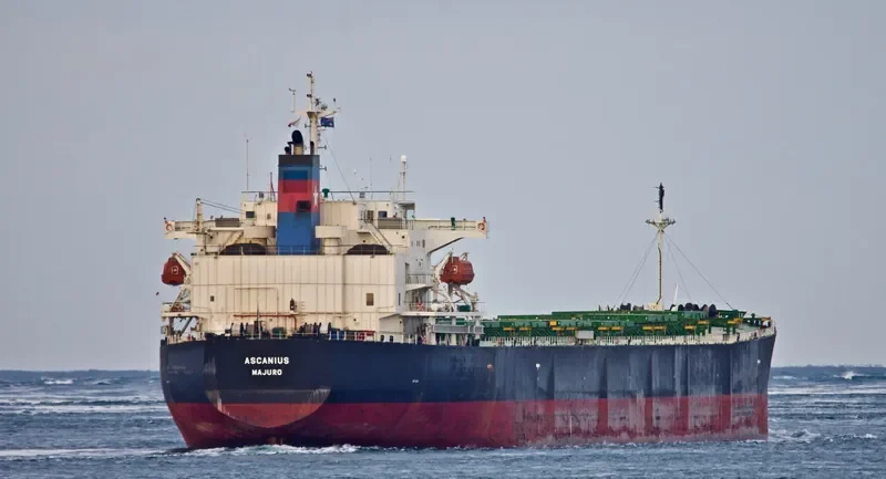 ASCANIOS Bulk Carrier IMO 9276169 photo 3