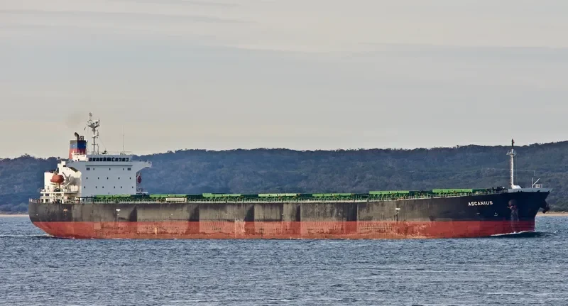 ASCANIOS Bulk Carrier IMO 9276169 photo 5