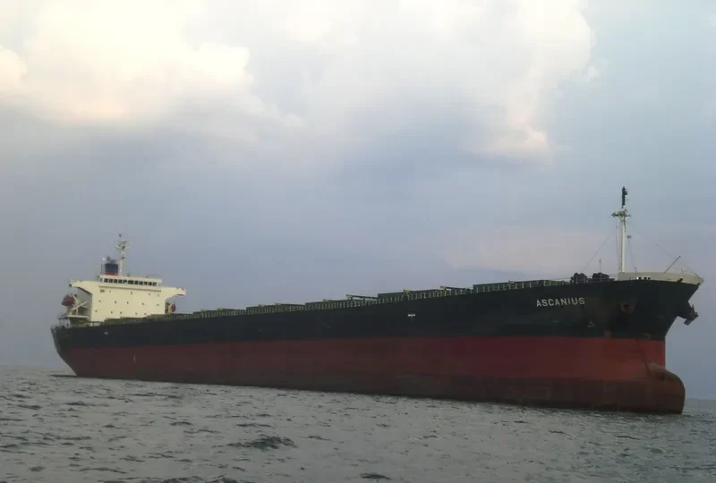ASCANIOS Bulk Carrier IMO 9276169 photo 6