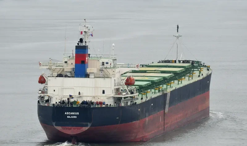 ASCANIOS Bulk Carrier IMO 9276169 photo 10