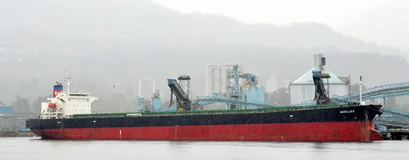 ACHILLE Bulk Carrier IMO 9276171 photo 7