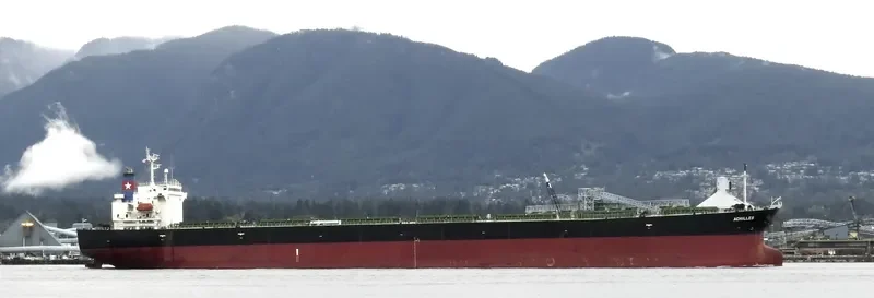 ACHILLE Bulk Carrier IMO 9276171 photo 8