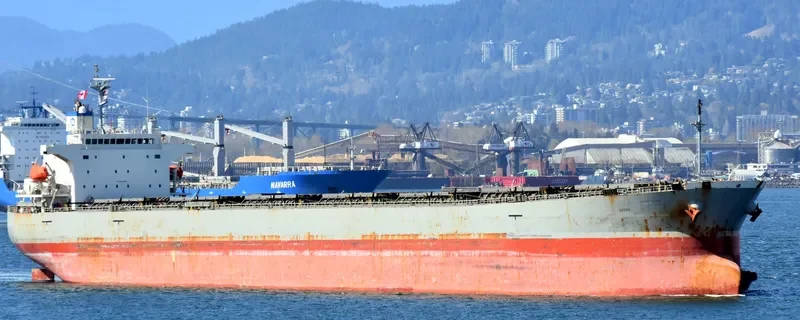 CETUS Bulk Carrier IMO 9276482 photo 6