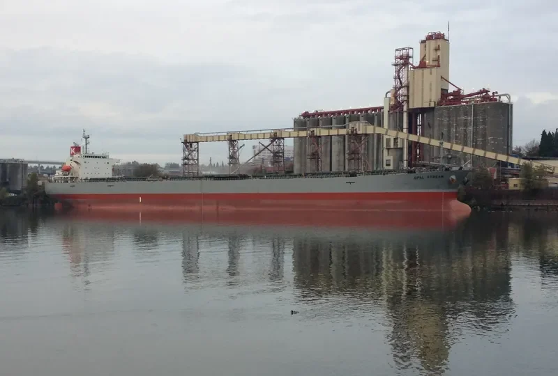 CETUS Bulk Carrier IMO 9276482 photo 8