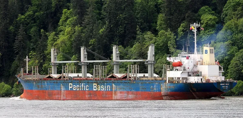 CHERRY POINT Bulk Carrier IMO 9276731