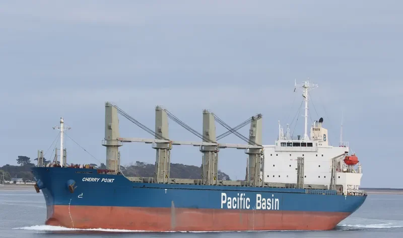 CHERRY POINT Bulk Carrier IMO 9276731 photo 8