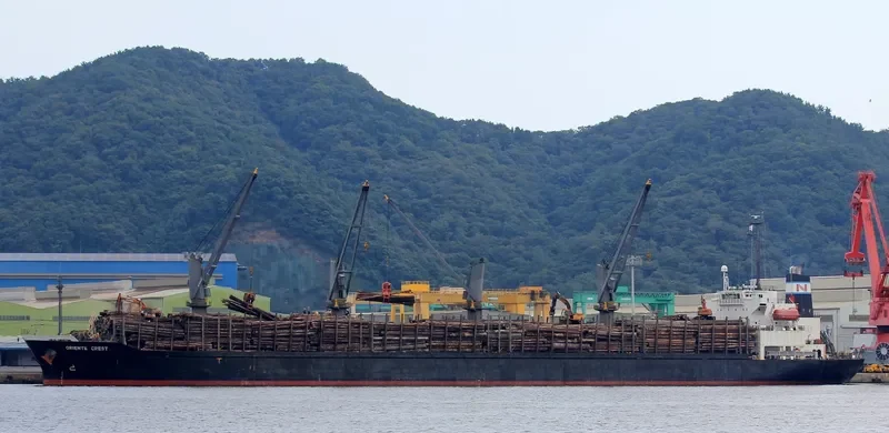 HAI NAM 39 Bulk Carrier IMO 9276755