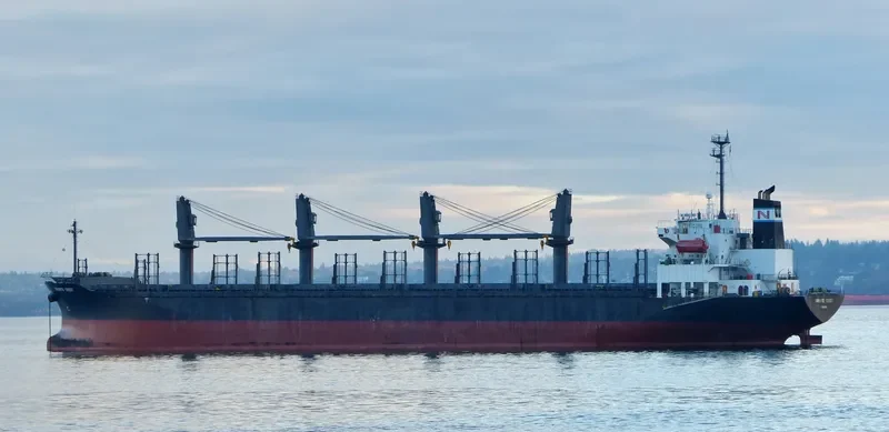 HAI NAM 39 Bulk Carrier IMO 9276755 photo 2