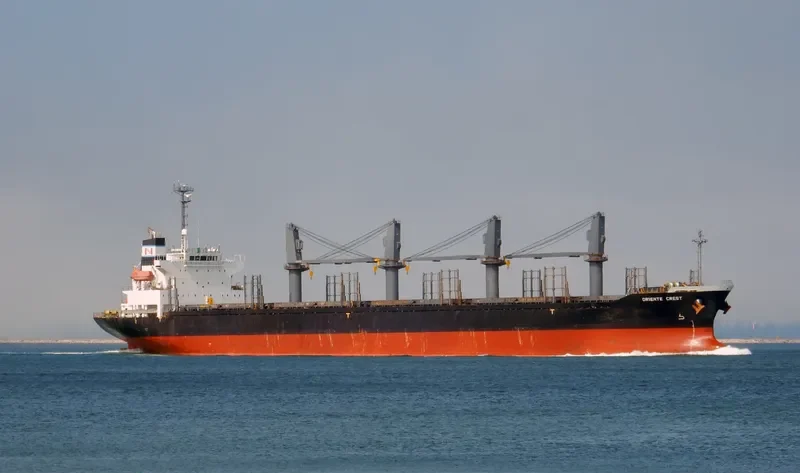 HAI NAM 39 Bulk Carrier IMO 9276755 photo 3