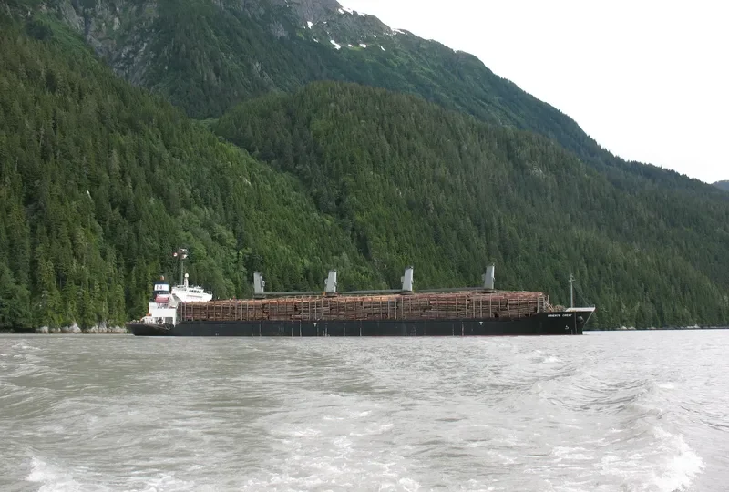 HAI NAM 39 Bulk Carrier IMO 9276755 photo 5