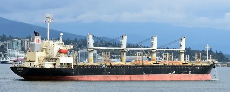 KEN MEI Bulk Carrier IMO 9276767
