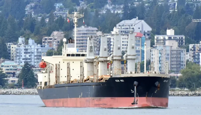 KEN MEI Bulk Carrier IMO 9276767 photo 3