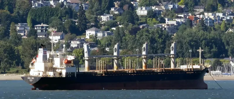 KEN MEI Bulk Carrier IMO 9276767 photo 8