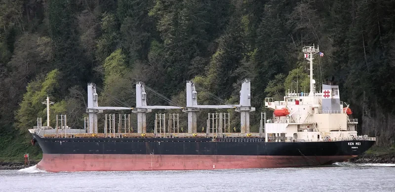 KEN MEI Bulk Carrier IMO 9276767 photo 9