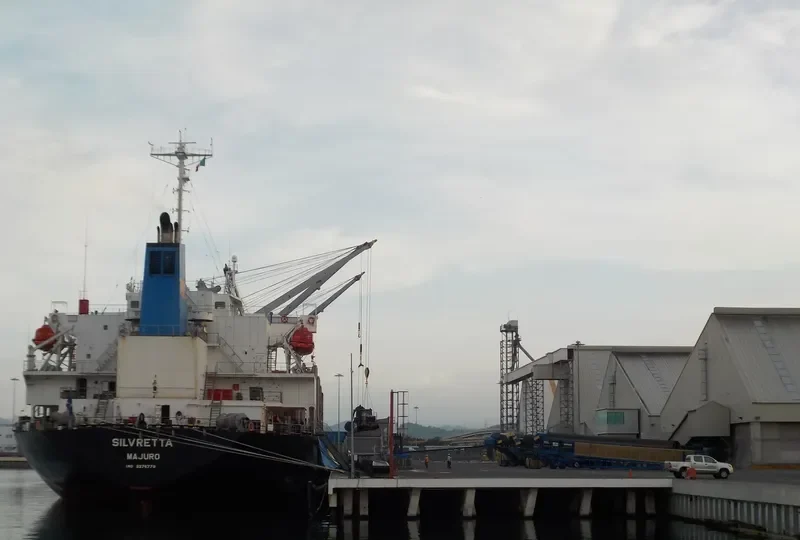 TAN BINH 246 Bulk Carrier IMO 9276779