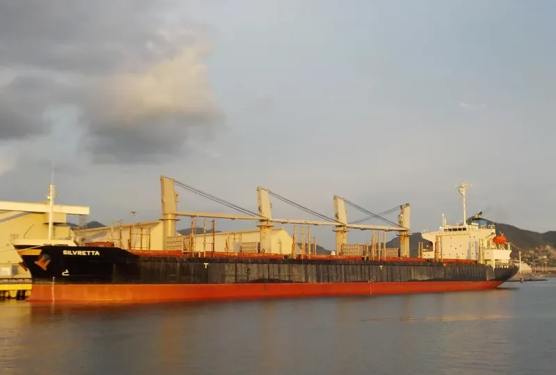 TAN BINH 246 Bulk Carrier IMO 9276779 photo 3