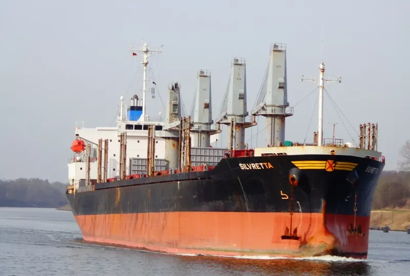 TAN BINH 246 Bulk Carrier IMO 9276779 photo 10