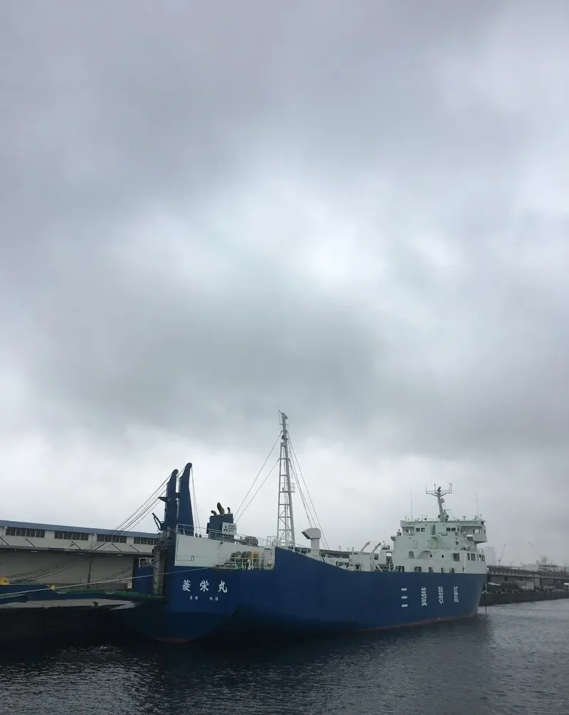 RYOEI MARU Ro-Ro IMO 9276925