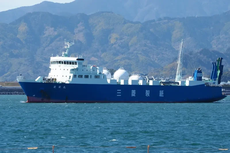 RYOEI MARU Ro-Ro IMO 9276925 photo 2