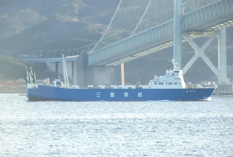 RYOEI MARU Ro-Ro IMO 9276925 photo 6