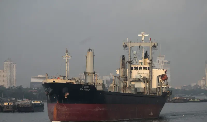 SEA TIMBER General Cargo IMO 9276949 photo 2