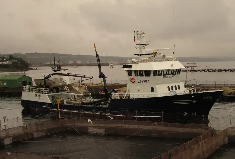 RONIA PACIFIC General Cargo IMO 9276963 photo 3