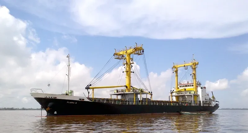 FLORA 8 General Cargo IMO 9277151 photo 7