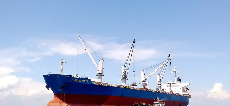 LUMOSO RAYA Bulk Carrier IMO 9277204 photo 2
