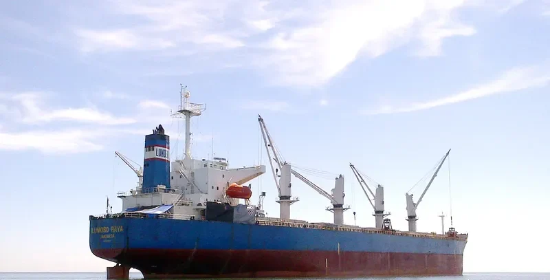 LUMOSO RAYA Bulk Carrier IMO 9277204 photo 3