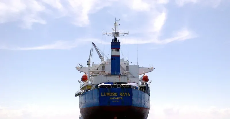 LUMOSO RAYA Bulk Carrier IMO 9277204 photo 4