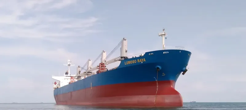 LUMOSO RAYA Bulk Carrier IMO 9277204 photo 5
