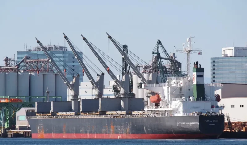 LUMOSO RAYA Bulk Carrier IMO 9277204 photo 6