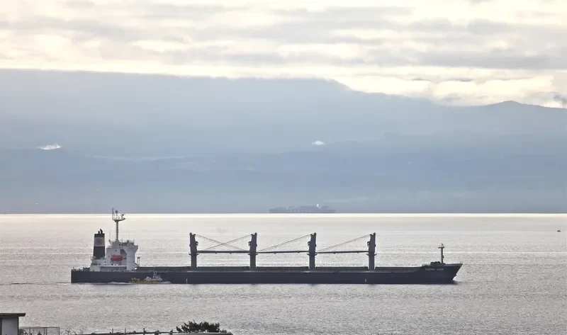 LUMOSO RAYA Bulk Carrier IMO 9277204 photo 7