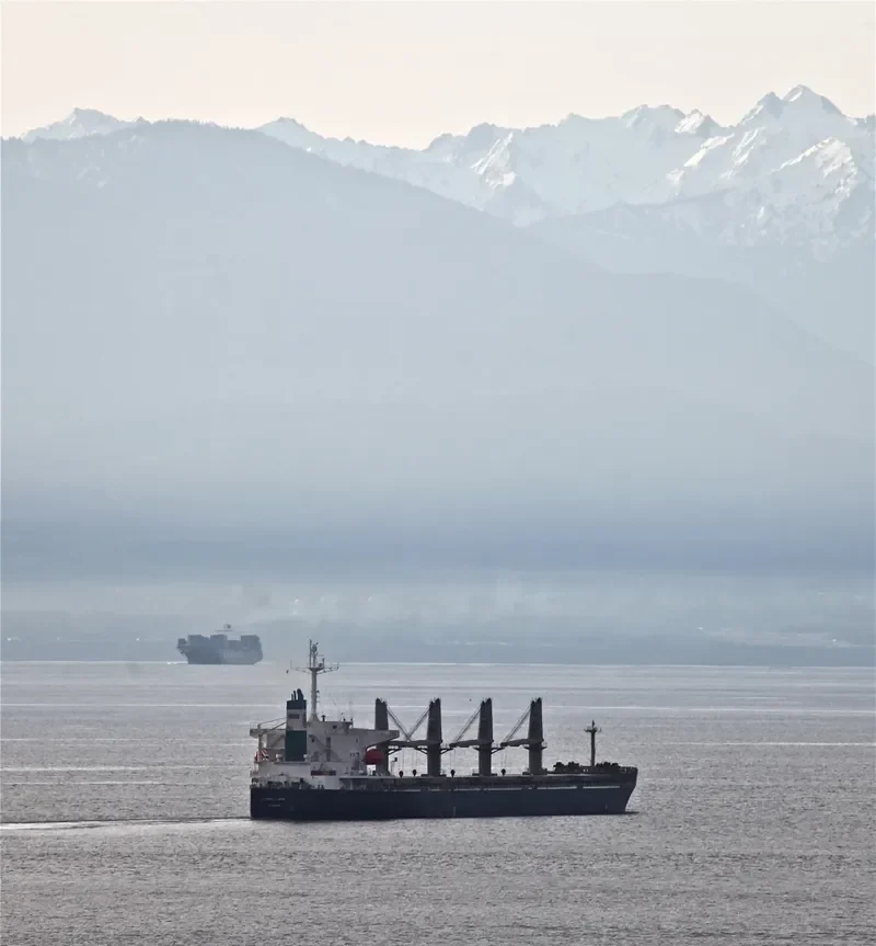 LUMOSO RAYA Bulk Carrier IMO 9277204 photo 9