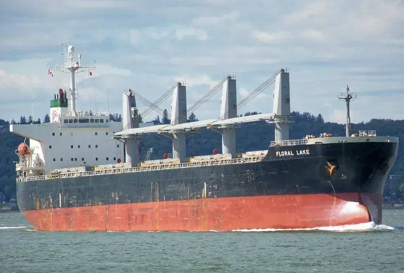 LUMOSO RAYA Bulk Carrier IMO 9277204 photo 10