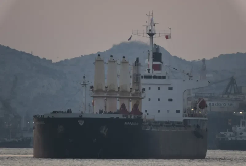 AMANAH HALMAHERA AMC Bulk Carrier IMO 9277254 photo 2