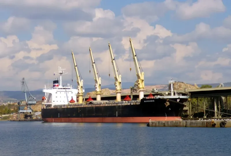 AMANAH HALMAHERA AMC Bulk Carrier IMO 9277254 photo 5