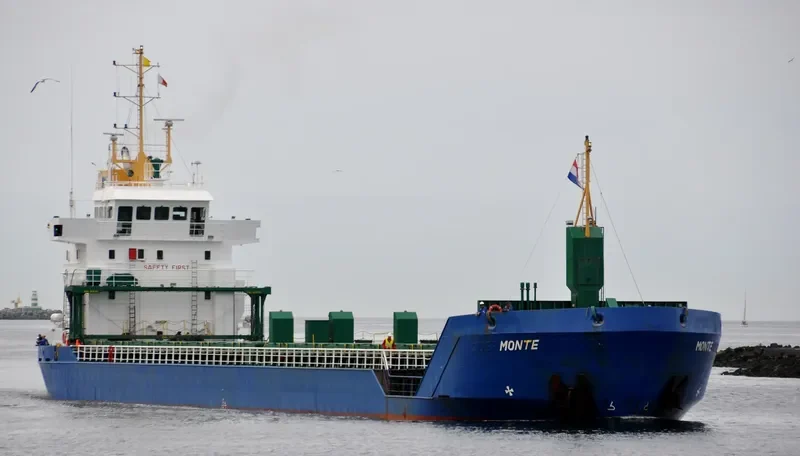 NINA General Cargo IMO 9277278 photo 9