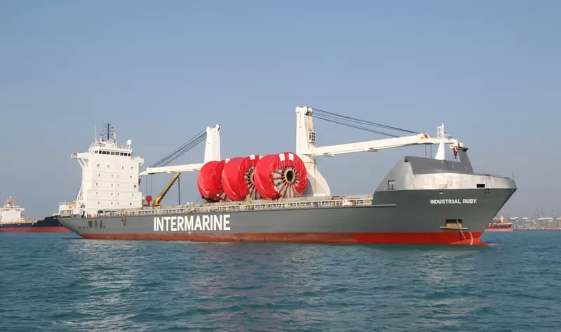 INDUSTRIAL RUBY General Cargo IMO 9277292 photo 6