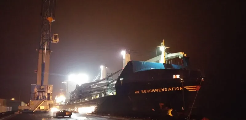 INDUSTRIAL RUBY General Cargo IMO 9277292 photo 9