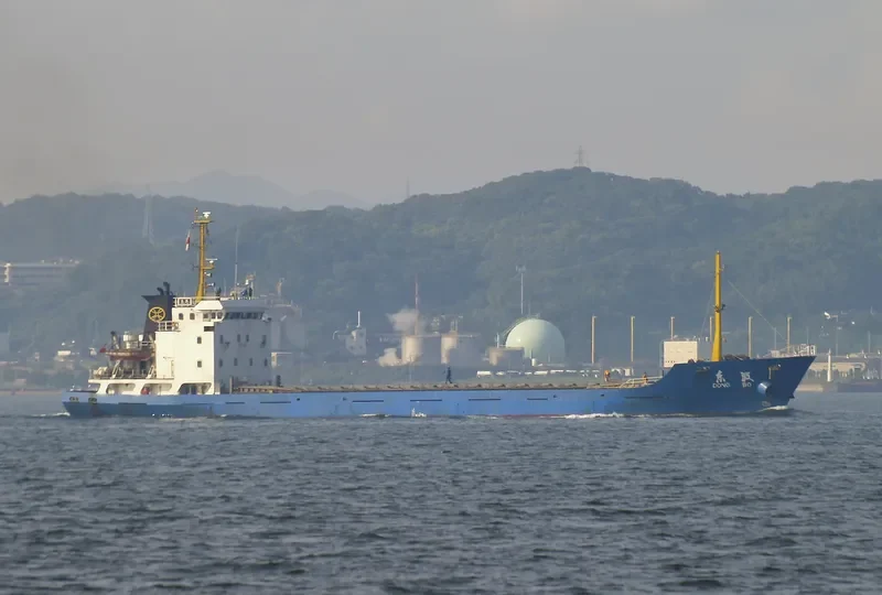 DONG BO General Cargo IMO 9277357 photo 2