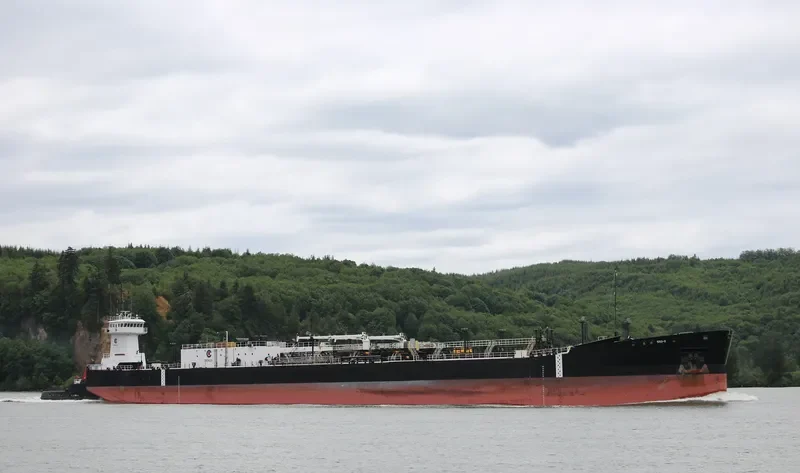SOUND RELIANCE General Cargo IMO 9277369 photo 3