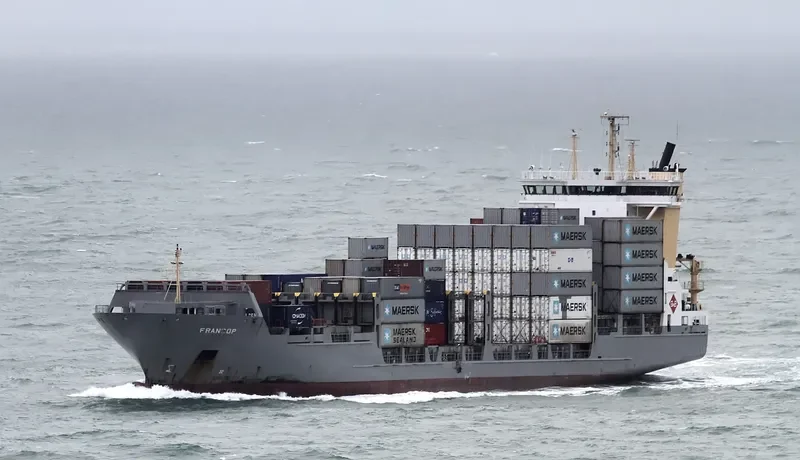 FESCO MONERON Container Ship IMO 9277412 photo 5